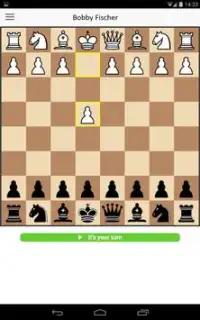 Fire Chess Screen Shot 4