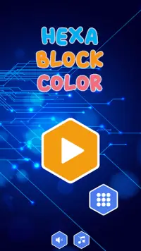 Hexa Block Color Puzzle Screen Shot 0