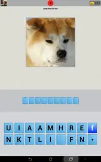 Quizz Race de chien Screen Shot 5