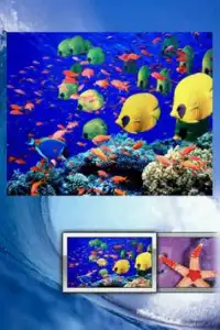 Ocean Life Puzzle Screen Shot 1