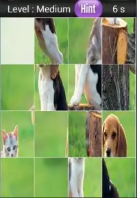 Cat And Dogs Screen Shot 4