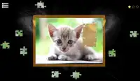 Kitty Cat Jigsaw Puzzles Screen Shot 4