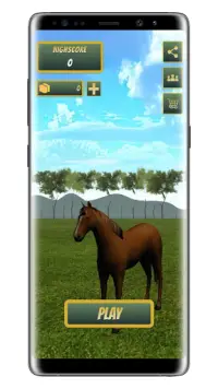 Sumba Runner : Endless Horse Runner Screen Shot 1