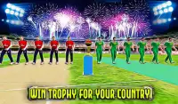 Pakistan Cricket League 2021 - T20 Cricket Games Screen Shot 2