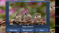 Rompecabezas · Pájaros Screen Shot 2