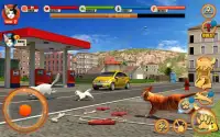 Street Cat Sim 2016 Screen Shot 8