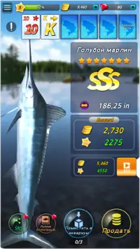 Fishing Season :River To Ocean Screen Shot 2