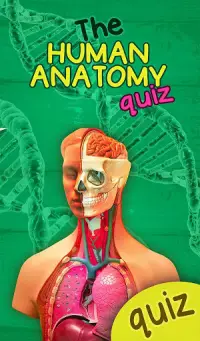 The Human Anatomy Quiz App On Human Body Organs Screen Shot 6
