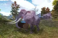 코끼리 시뮬레이터 매니아 Screen Shot 3