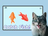 Fish for Cats - Cat Fishing Game Screen Shot 1