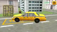 Taxi Driver 3d Simulator Screen Shot 3
