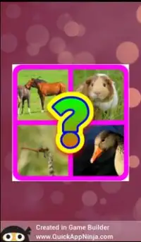 Guess The Animals Quiz Screen Shot 2