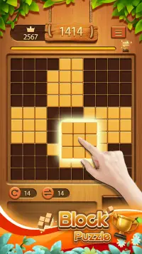 Classic Block Puzzle——Wood Block Puzzle Game Screen Shot 0