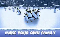 Penguin Family: Polar Bird Survival Simulator Screen Shot 1