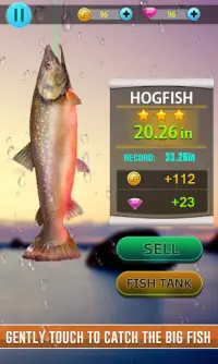 Wild Fish Simulator 2019 - Hook Hunting Game Screen Shot 1