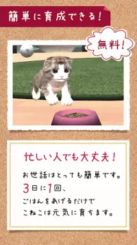 猫の癒し育成ゲーム3D＊無料＊ Screen Shot 2