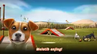DogHotel - Permainan Anjing Screen Shot 4