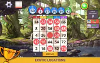 Bingo Quest - Multiplayer Bing Screen Shot 16