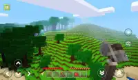 MiniCraft : Exploration And Survival Screen Shot 3