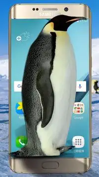 Penguin live on the screen(Prank) Screen Shot 2