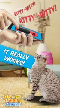 Chame um treinamento de Clicker Cat Screen Shot 1