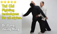 Tai Chi Martial Applications Screen Shot 14