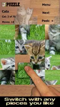 Gatos quebra-cabeças (FREE) Screen Shot 2
