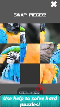 Animal Slide Puzzle Screen Shot 3