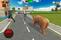 Wild Angry Bear Simulator Screen Shot 6