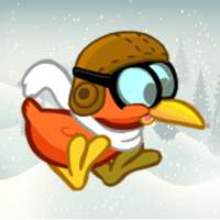 Polar Bird Adventure