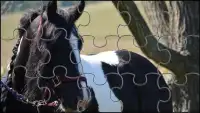 Black Horse Jigsaw Puzzles Game Screen Shot 7