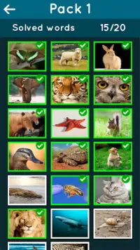 Animal Kingdom Guessing Game Screen Shot 2