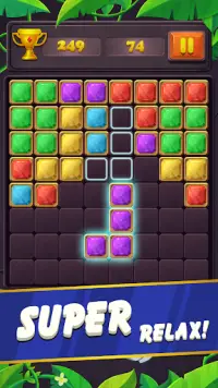 Block jewel puzzle game Screen Shot 1