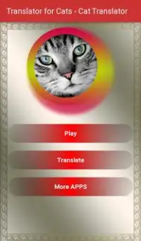 Translator for Cats - Cat Translator Screen Shot 0