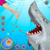 Aç ve Kızgın Köpekbalığı Oyunu