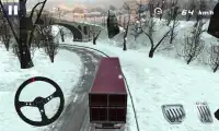 Truck Driver Sim 2017 Screen Shot 2
