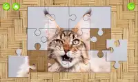 Cats Jigsaw Puzzles Game Screen Shot 0