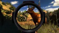 鹿の狩猟2017 Screen Shot 2