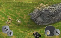 Wild Animal Hunting - 3D Sniper Game Screen Shot 5