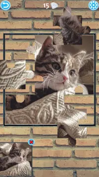 Cat Jigsaw Puzzle Screen Shot 5