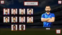 ICC-T20:Cricket World Cup game Screen Shot 1