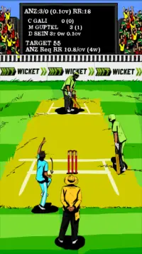 Hit Wicket Cricket 2017 - Australian League Game Screen Shot 0