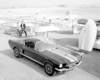 Quebra-cabeças Mustang Shelby GT350 Screen Shot 3