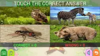 Learning Animals and Puzzle Games Screen Shot 3