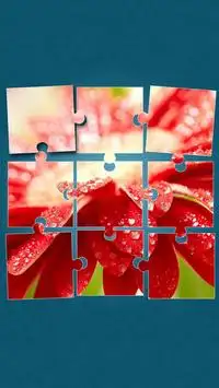Flowers Puzzle Game Screen Shot 5