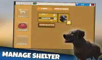 Dog & Cat Shelter Simulator 3D Screen Shot 6