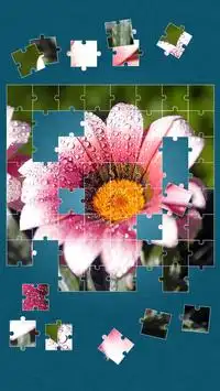 Flowers Puzzle Game Screen Shot 7