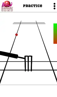 Blind Cricket Screen Shot 9