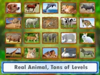 Animal Jigsaw Puzzles DayCare Screen Shot 1