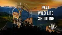 Олень погоня: Wild Kill Hunter Screen Shot 4